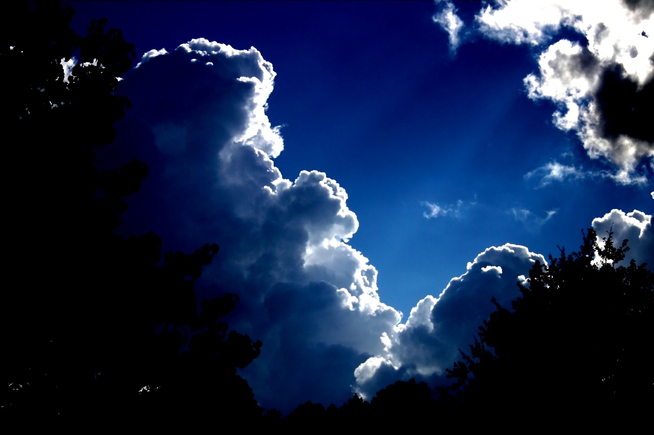 The Role of Data Science in Climate Modeling